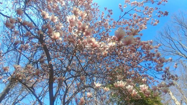 MNS G1 IN10 N1 O2.00 Y0.00 C0.00 YT0 CT0 s0 sY0.00 S0 C0 FM0 FC000000000